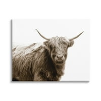Stupell Industries Centh Longhorn Cottle Country Fotografije Canvas Wall Art, 24, dizajn Donnie Quillen