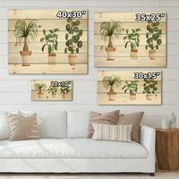 DesignArt 'Trio kućnih biljaka ficus konjski rep i palm' tradicionalni tisak na prirodnom borovom drvetu