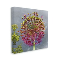 Stupell Moderni maslačak ružičasta apstraktna galerija botaničke i cvjetne slika
