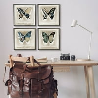 Stupell Industries Asimetrični uzorci krila leptira Slikanje crne uokvirene umjetničke print zidne umjetnosti, set od 4, dizajn Stacy