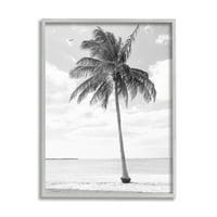 Stupell Industries jednobojna biljka s jednobojnom plažom Tropska plaža Photo siva uokvirena umjetnička tiskana umjetnost, dizajn