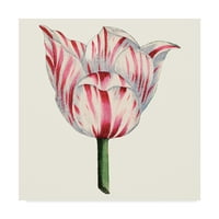 Likovna umjetnost s potpisom tulipan vrt u Numberu na platnu iz Numbera