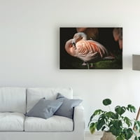Zaštitni znak likovne umjetnosti studija flaminga na platnu Kurta Schaffera