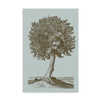 Zaštitni znak likovna umjetnost 'Antičko drvo u Sepiji I' Canvas Art by Vision Studio