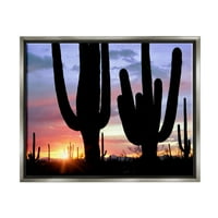 Stupell Industries pustinj kaktus zalazak sunca siluete pejzažna fotografija siva ploda uokvirena art print zidna umjetnost