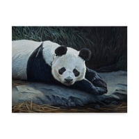 Zaštitni znak likovna umjetnost 'Panda' platno umjetnost Rusty Frentner