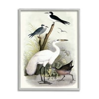 Stupell Industries Varied Crane ptice okupile su rijeke Streak Botanicals Slikanje sive uokvirene umjetničke print zidne umjetnosti,