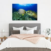 Wynwood Studio Nautical and Coastal Wall Art Canvas Otisci 'Zelena morska kornjača Davida Fleethama' Marine Life - Plava, zelena
