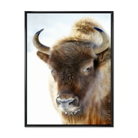 DesignArt 'Izbliza od divljih bizona' Farmhouse uokvirena platna zidna umjetnost print