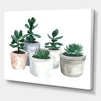 DesignArt 'sočne i kaktusne kućne biljke vi' Farmhouse platno zidni umjetnički tisak