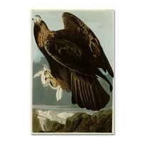 Zaštitni znak likovna umjetnost 'Zlatna orao ploča 181' platno umjetnost Audubona