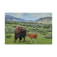 Likovna umjetnost s potpisom bizon i tele na platnu s interneta